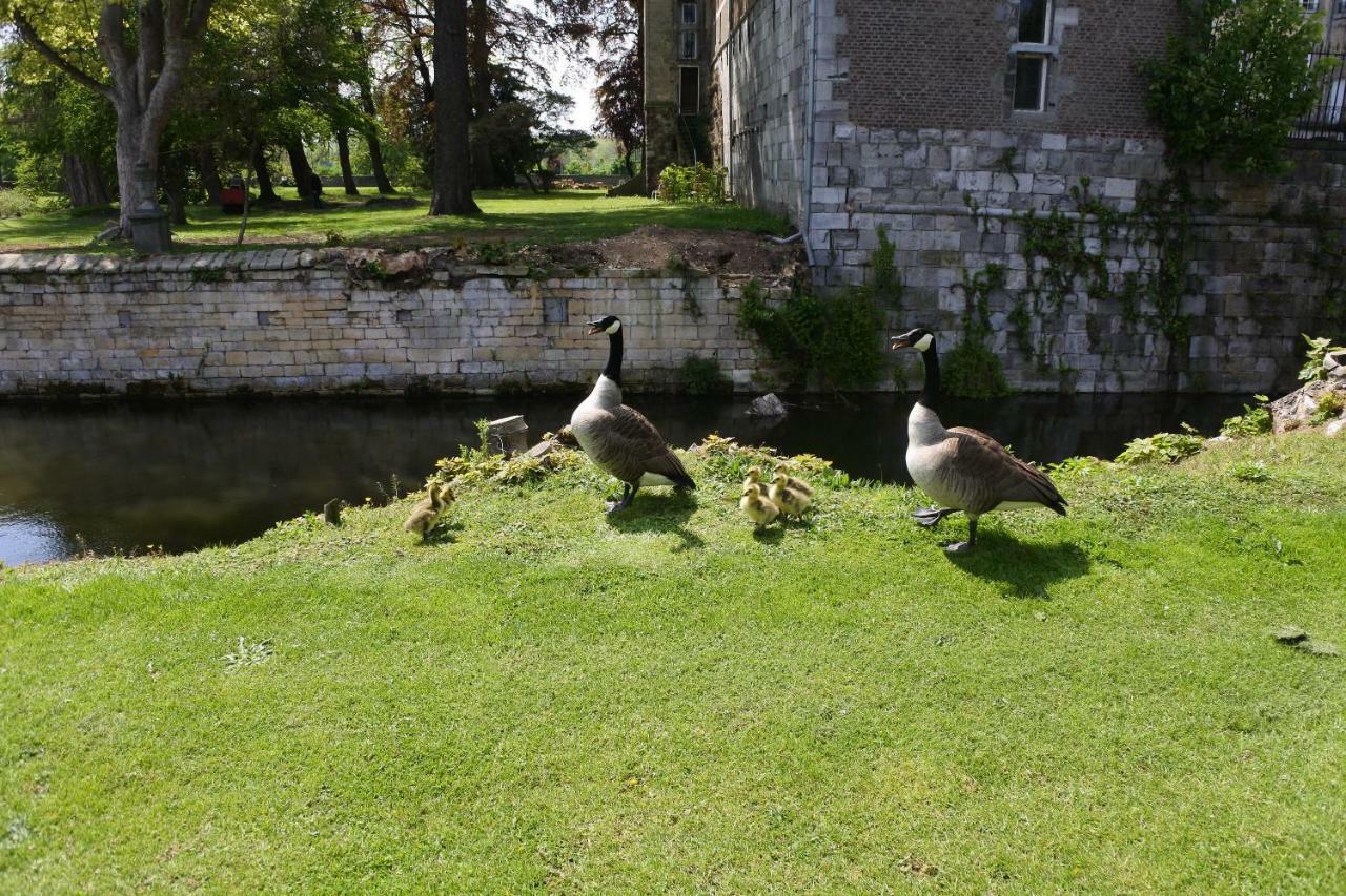 B & B Kasteelhoeve Borgharen - Maastricht Buitenkant foto